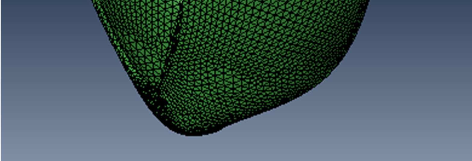 Capítulo 3 - Modelação Biomecânica Tabela 11 - Discretização das estruturas ósseas do complexo articular do ombro.