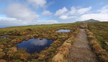 9 DESCOBRE COM O PRIOLO As Aves da minha Escola Localização: Ilha de São Miguel.