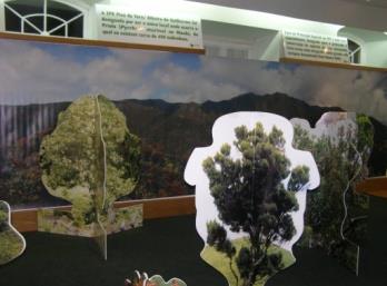 EXPOSIÇÕES ITINERANTES 16 EXPOSIÇÃO UMA FLORESTA, UM FUTURO Resumo Uma floresta Um futuro é uma exposição criada com o intuito de comemorar o fim do Projeto LIFE Priolo que consistiu na conservação