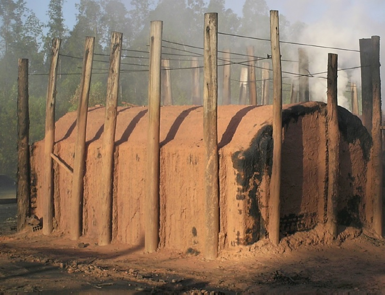 Floresta e Ambiente Estudo de Caso de uma Planta de Carbonização.