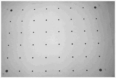 Olivas, 1981). Para calibrar a câmara digital um conjunto de alvos circulares com 1cm de diâmetro foi materializado, com espaçamento de 10cm entre estes, obtendo-se 48 alvos.