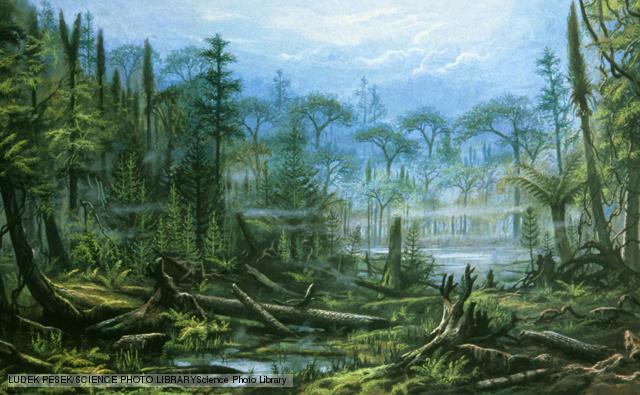 Era Paleozóica Conjuntos montanhosos Grandes florestas Glaciações Primeiros
