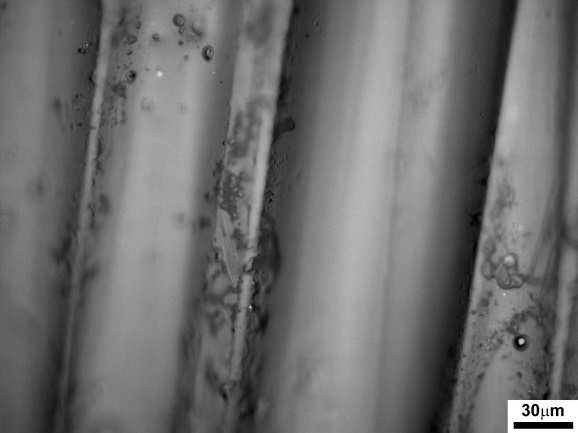 122 Figura 83 Micrografias da placa processada via irradiação de micro-ondas e pós-cura, com aumentos de 50, 100, 200 e 500X: pequena quantidade de poros e vazios.