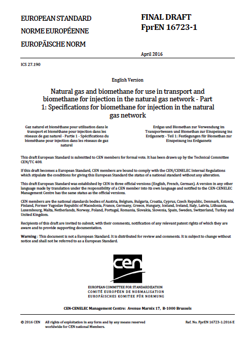 Luz no fim do túnel A Comissão Técnica Europeia sobre o biometano (CEN/TC 408) progrediu no estabelecimento de um padrão europeu para a injeção de biometano na rede de gás natural.