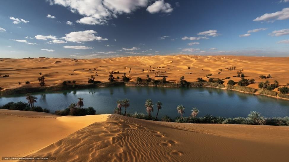 OÁSIS NOS DESERTOS AFRICANOS Nos desertos encontramos os Oasis que são regiões mais baixas do relevo, onde os lençóis
