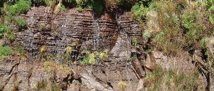 Características hidrogeológicas gicas.