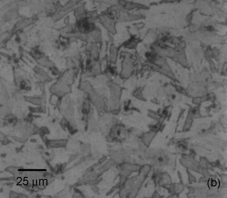 Figura 5: Micrografias tiradas da superfície polida mostrando em (a) uma típica dispersão de partículas de segunda fase encontrada no aço AISI 630UF e em (b) o detalhe de uma microfissura observada