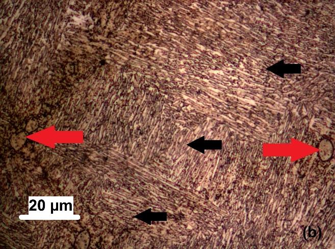 21 (a) (b) Figura 9: Micrografia por microscopia ótica do aço 13Cr2Ni0,1C revenido a 750ºC. (a) Vista geral da microestrutura; (b) Detalhe da matriz martensítica com fase ferrita livre.