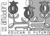 Escola Secundária da Amadora Departamento de Educação Física Protocolo de avaliação inicial 2014/ 2015 A avaliação dos alunos em Educação Física (EF) deverá ser entendida como o resultado de três