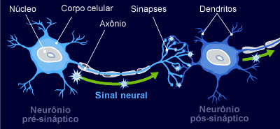 cerebrais que então a transmitem ao resto do corpo. Técnicas da Mediunidade, cap.