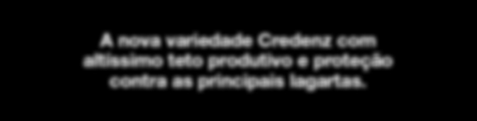 LANÇAMENTO A nova variedade Credenz com altíssimo teto produtivo e proteção contra as principais lagartas. CZ 26B42 IPRO CARACTERÍSTICAS AGRONÔMICAS: GRUPO DE MATURAÇÃO 6.