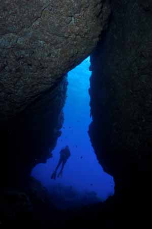 Gruta do Paralelo: Localizado na parte Norte da Ilha aproximadamente a 10 nm da marina, este mergulho é apenas para mergulhadores experientes. É um spot fabuloso.