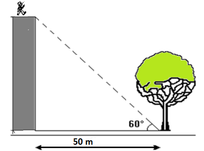 59. Um observador deitado no topo de um prédio observa o pé de uma árvore sob um ângulo de 60 o, conforme a figura a seguir.