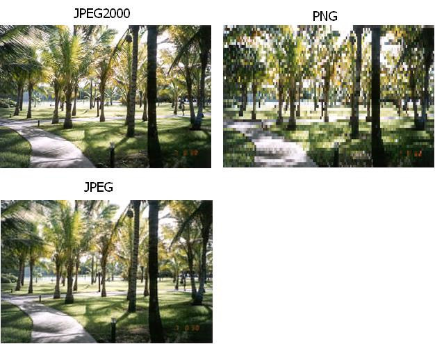 68 Para as imagens apresentadas na figura é perceptível a superioridade do JPEG2000 em relação aos demais formatos não só realizando uma inspeção visual, como comparando os valores de obtidos na