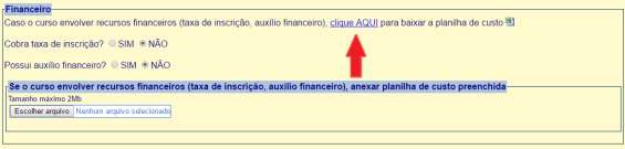 3.3. Após clicar no abrir irá aparecer o arquivo anexado. O ícone lixeira permite excluir o arquivo. 4. PLANILHA DE CUSTO (somente para as ações que envolvam financeiro) 4.