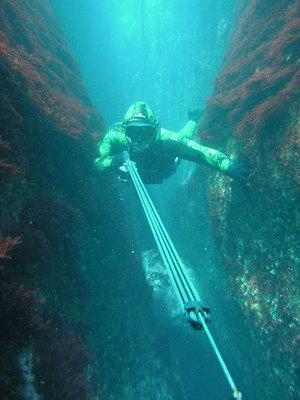 FISHERY TYPES Photo: Vinicius Nora Harpoon Hook and line Gillnet MTE (2008) Bate-bate Floating trap