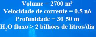 Criação de beijjupirá em tanque-rede off-shore submersos Puerto Rico e