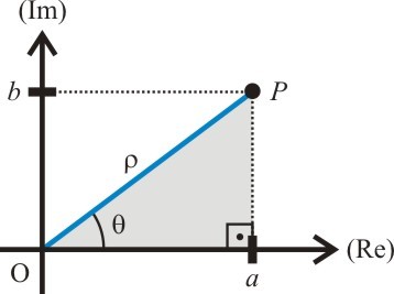 A interpretação geométrica dos complexos foi descoberta em 1797 por Caspar Wessel (1745 1818), mas somente em 1806, o matemático suíço Jean Robert Argand (1768 1822) publicou um artigo sobre a