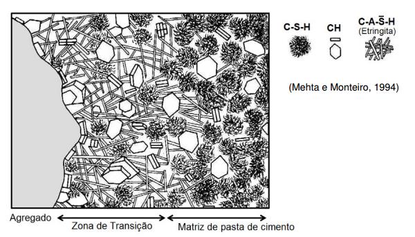 Fase III