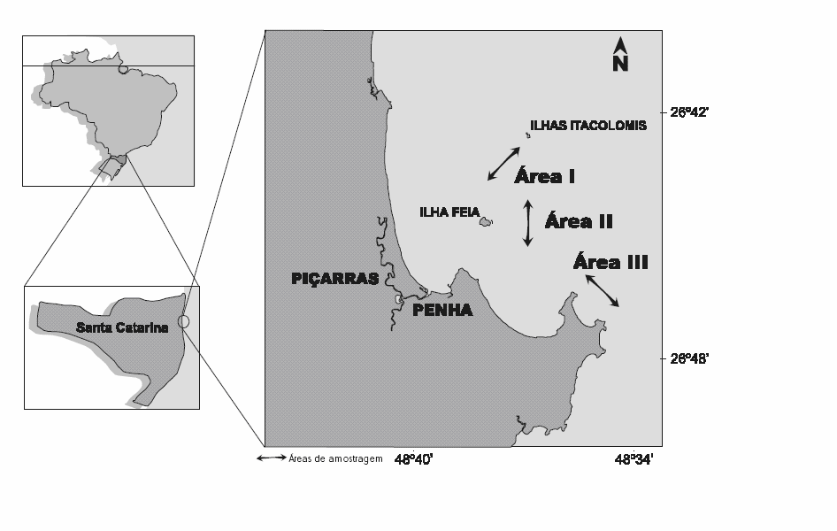 5 Figura I - Mapa da Armação Itapocoroy, Penha, SC, indicando as três áreas tradicionais da pesca de camarão sete-barbas, locais das coletas do presente estudo.