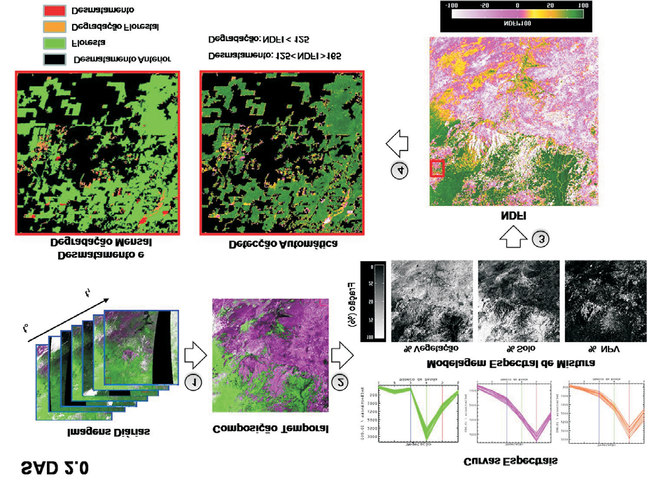 Figura. Método do SAD.0 para o monitoramento do desmatamento na.