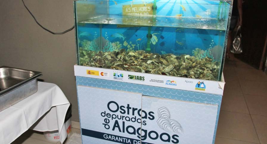 Pimenta e Sette Ostras Comitê Depuradas de Avaliadores de Alagoas Criação do aquário mostruário com a finalidade de chamar a atenção para o produto.