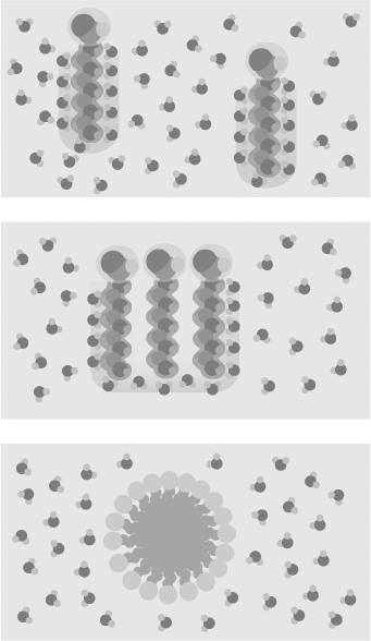 BIOQUÍMICA I Note que as temperaturas em que a solubilidade destes gases foi medida são diferentes. Isso porque esses dados foram retirados de experimentos diferentes.