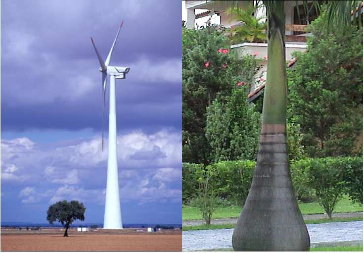 PEA 5002 Energia Eólica: Fundamentos e Viabilidade Técnica e Econômica