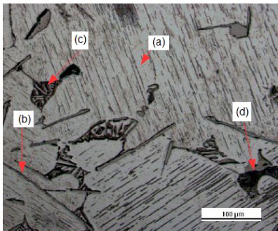 RESULTADOS E DISCUSSÃO A Figura 1 mostra as micrografias dos lingotes brutos de fusão das ligas analisadas obtidas por microscopia óptica em aumento de 200X.