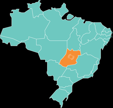 GOIÁS O PIB do Estado de Goiás chegou a R$ 111 bilhões em 2011, com participação de 2,7% no total do País e, 14% de crescimento quando comparado a 2010. CAPITAL Goiânia POPULAÇÃO ESTIMADA 2013 6.434.