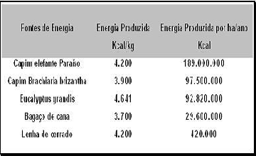 Tabela 3 - Energia produzida por algumas fontes renováveis Fonte: adaptado de Vilela (2007, p.5) Hall et al.