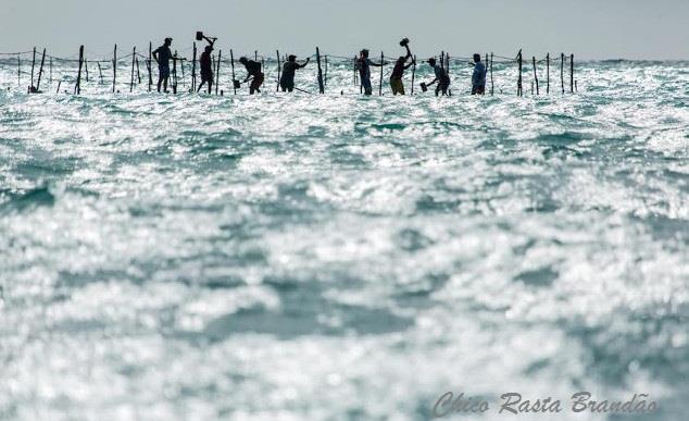 ATUAÇÃO DO PROJETO No ordenamento da pesca fortalecimento do acordo de pesca; Organizações