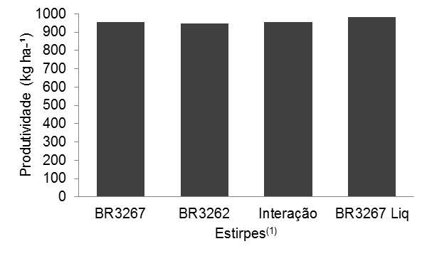 Figura 1. Rendimento de grãos secos (13% umidade) do feijão-caupi BRS-Guariba aos 75 DAE. (1) Não há diferença estatística entre os tratamentos.