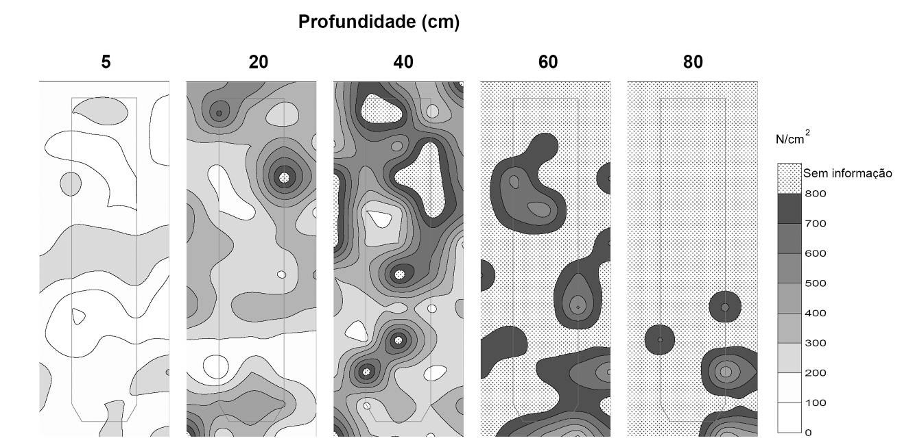 Análise comparativa dos processos de escoamento desenvolvidos em terraços agrícolas de áreas com granitóides e metassedimentos. A resistência do solo (Fig.