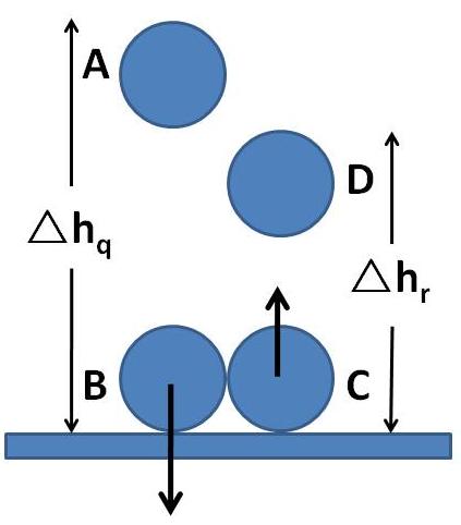 5. Justifique, considerando desprezável a resistência do ar, por que razão, depois de cada ressalto, a bola não sobe até à altura de que caiu.