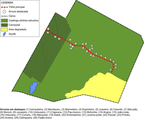 Figura 2. Mapa da Trilha dos Polinizadores UFERSA (TRIPOL). A trilha possui cerca de 500 m de comprimento, largura entre 1 e 1,5m e foi instalada em uma área de 26 ha de mata nativa.