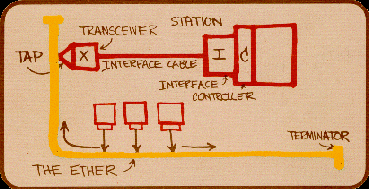 Padrão IEEE 802 para LANs e MANs Padrão IEEE 802 para LANs e MANs Conjunto de normas para LANs e MANs Padrões importantes: Padrão adotado pelas seguintes organizações: ANSI, NIST e ISO É dividido em