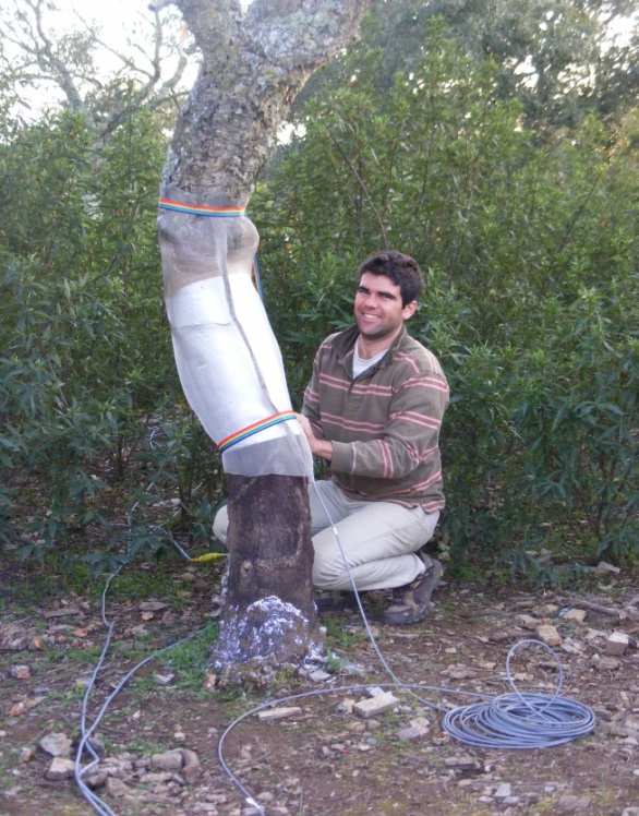 Métodos Experiência ao longo de 3 anos com remoção experimental de estevas e a co-ocorrência natural de um ano de seca extrema (2011/2012) 3 Parcelas emparelhadas (total 6 parcelas de 500 m 2 ) num