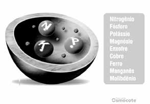 9 PASSO FERTILIZAÇÃO Item fundamental para a sobrevivencia das plantas, visite: www.wallgreen.com.br/downloads e tenha todas as informações!