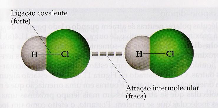 FORÇAS