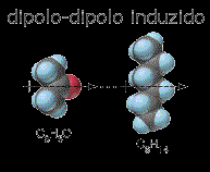1. Dipolo-dipolo induzido: a presença de moléculas que tem dipolos permanentes podem distorcer a distribuição de carga elétrica em outras
