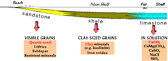 Grupos de sedimentos, segundo os tamanhos e a composição Praia Plataforma rasa Sandst one Arenito Visible grains Argilito/folhelho Mudstone/shale Quartzo Fragmentos de rocha Feldspato Plataforma