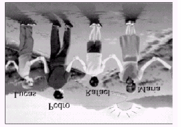 d) II, III e) I, II, III 7. Observe com atenção o desenho a seguir.