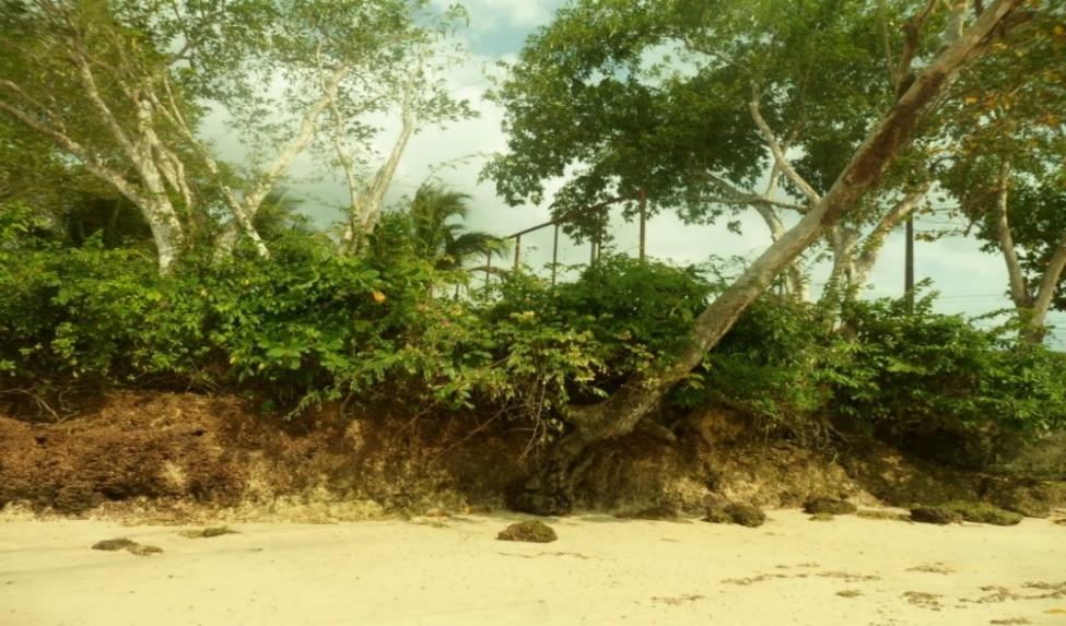 Figura 6 Despejo de resíduos sólidos ao longo da orla da praia do Murubira.