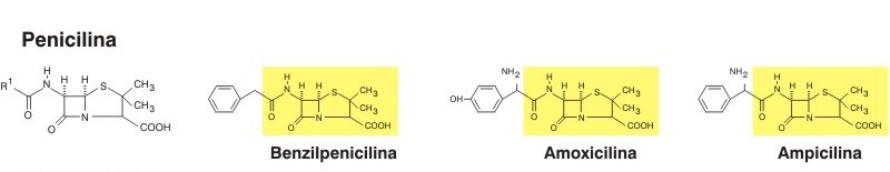 Figura 2: Estrutura dos antimicrobianos da classe de penicilinas benzilpenicilina primeira penicilina - amoxicilina e ampicilina foram derivadas da benzilpenicilina. Fonte: Grumach & Rosário (2006).