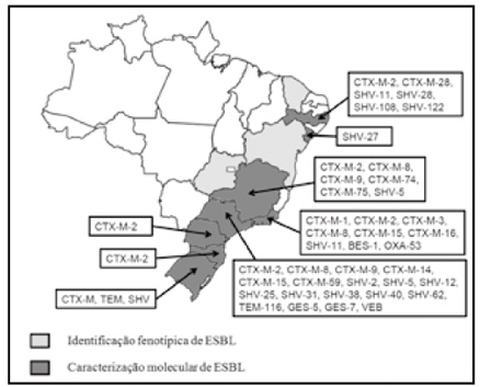 causas para a alta disseminação o carreamento por plasmídeos com alta e eficiente transferência por conjugação entre bactérias de mesma espécie ou de espécies diferentes e/ou baixo custo do fitness