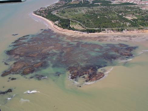 3.2.1 Formação Barreiras Para Mabesoone et al.