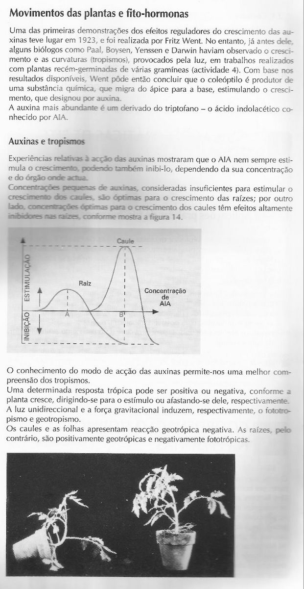 COORDENAÇÃO HORMONAL NAS PLANTAS O crescimento e o desenvolvimento normal das plantas é regulado, em grande parte, por hormonas, dependendo, no entanto, de factores genéticos e ambientais.