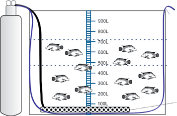 Figura 14. Estimativa do peso dos peixes com base no deslocamento de água. No exemplo da figura, foram deslocados 250 litros de água (715 465) durante o carregamento dos peixes na caixa de transporte.