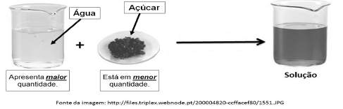 A água é imprescindível à vida. Ela é o constituinte fundamental da unidade da vida, a Célula.